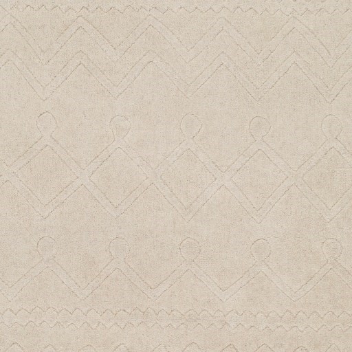 Surya Taraash 8'10" x 12' Rug