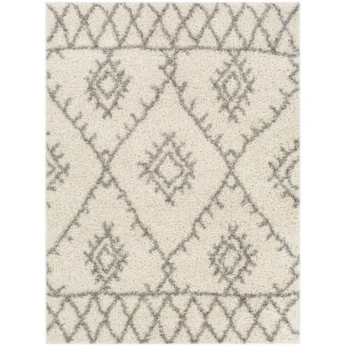 TZS-2304 5'2" x 7' Rug
