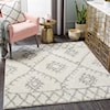 Surya Taza shag TZS-2304 5'2" x 7' Rug