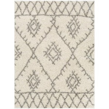 TZS-2304 5'2" x 7' Rug