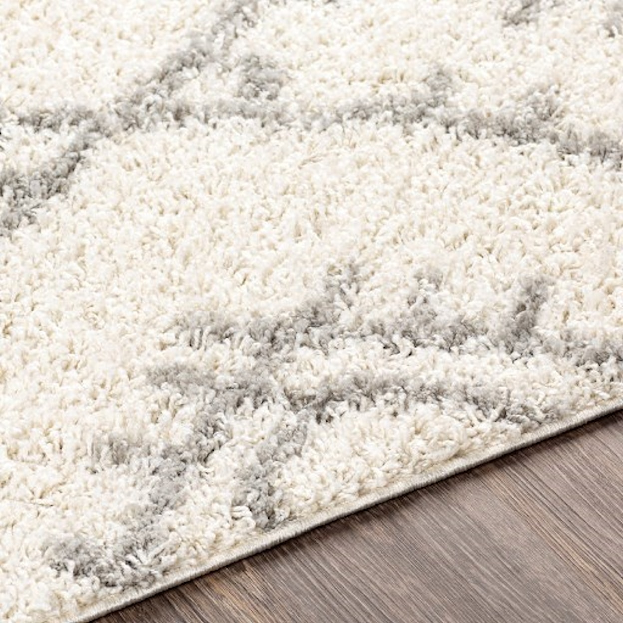 Surya Taza shag TZS-2304 6'7" x 9' Rug