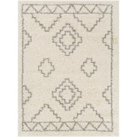 TZS-2306 5'2" x 7' Rug