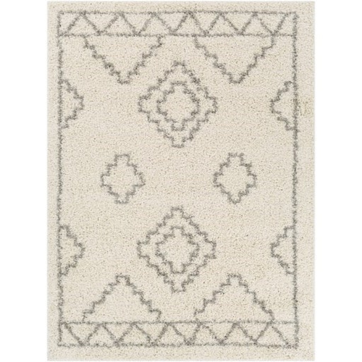 Surya Taza shag TZS-2306 7'10" x 10' Rug