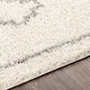 Surya Taza shag TZS-2306 7'10" x 10' Rug