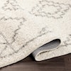 Surya Taza shag TZS-2306 7'10" x 10' Rug