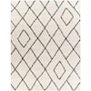 Surya Taza shag TZS-2309 6'7" x 9' Rug