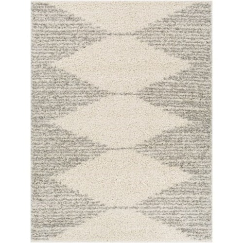 TZS-2310 6'7" x 9' Rug