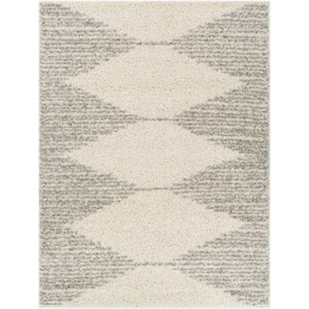 TZS-2310 6'7" x 9' Rug