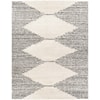 Surya Taza shag TZS-2311 6'7" x 9' Rug