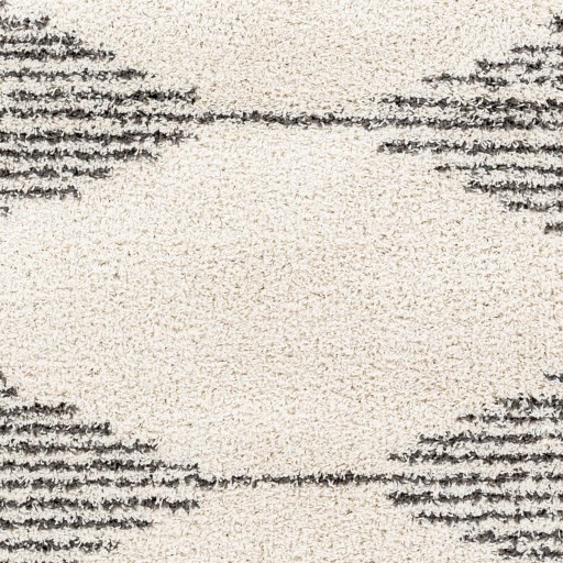 TZS-2311 6'7" x 9' Rug