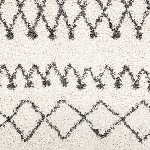 TZS-2316 5'2" x 7' Rug