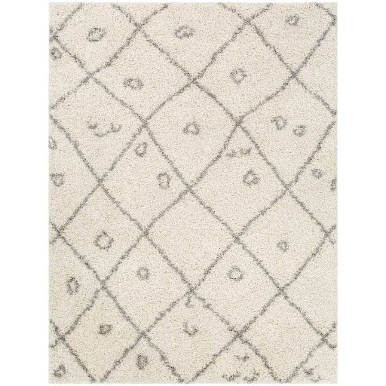 Surya Taza shag TZS-2317 6'7" x 9' Rug