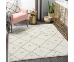 Surya Taza shag TZS-2317 6'7" x 9' Rug