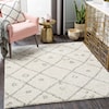 Surya Taza shag TZS-2317 6'7" x 9' Rug