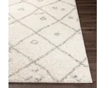 Surya Taza shag TZS-2317 6'7" x 9' Rug