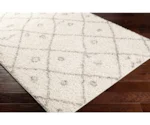Surya Taza shag TZS-2317 6'7" x 9' Rug