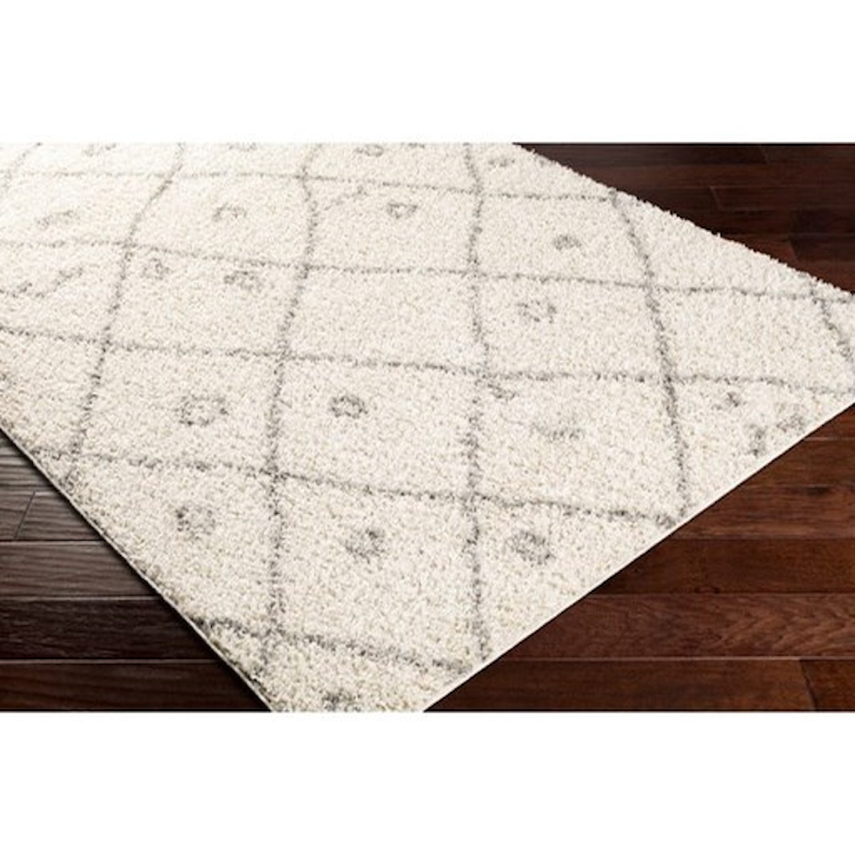 Surya Taza shag TZS-2317 6'7" x 9' Rug