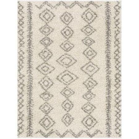 TZS-2320 6'7" x 9' Rug