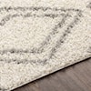 Surya Taza shag TZS-2323 6'7" x 9' Rug