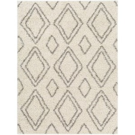 TZS-2323 7'10" x 10' Rug
