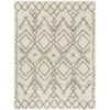 Surya Taza shag TZS-2326 5'2" x 7' Rug