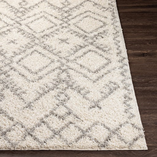 TZS-2326 5'2" x 7' Rug