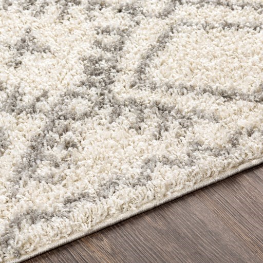 TZS-2326 5'2" x 7' Rug