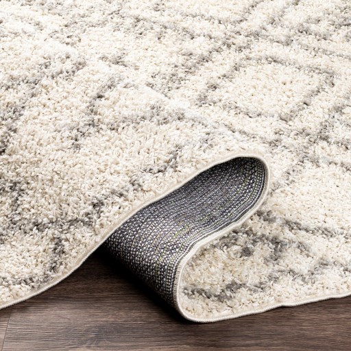 TZS-2326 5'2" x 7' Rug