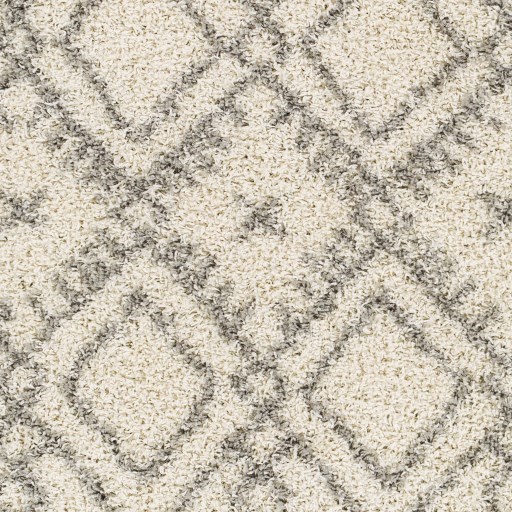 Surya Taza shag TZS-2326 5'2" x 7' Rug