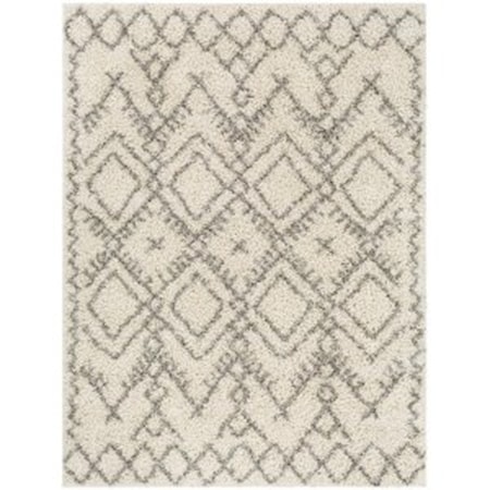 TZS-2326 5'2" x 7' Rug