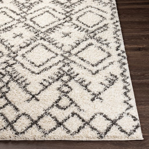 TZS-2327 7'10" x 10' Rug