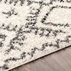 Surya Taza shag TZS-2327 7'10" x 10' Rug