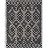 Surya Taza shag TZS-2328 7'10" x 10' Rug