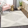 Surya Taza shag TZS-2331 7'10" x 10' Rug