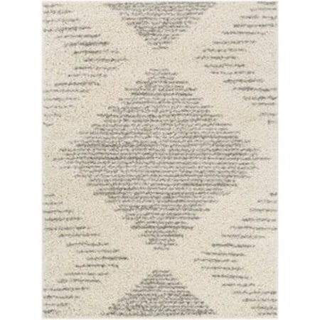 TZS-2331 7'10" x 10' Rug