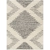 Surya Taza shag TZS-2332 6'7" x 9' Rug