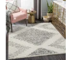 Surya Taza shag TZS-2332 7'10" x 10' Rug