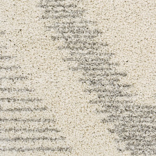 Surya Taza shag TZS-2333 6'7" x 9' Rug