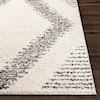 Surya Taza shag TZS-2334 5'2" x 7' Rug