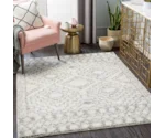Surya Taza shag TZS-2335 7'10" x 10' Rug