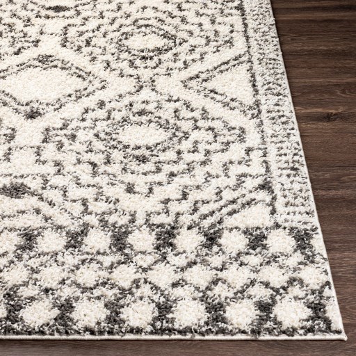 TZS-2336 5'2" x 7' Rug