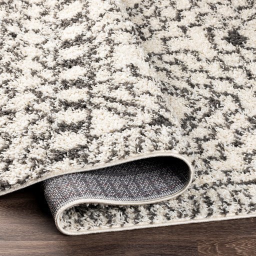 TZS-2336 5'2" x 7' Rug