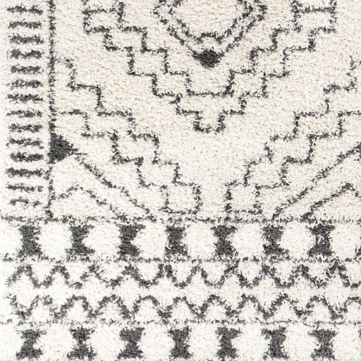 TZS-2336 5'2" x 7' Rug