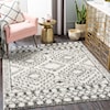 Surya Taza shag TZS-2336 6'7" x 9' Rug