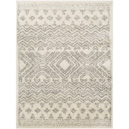 TZS-2342 6'7" x 9' Rug