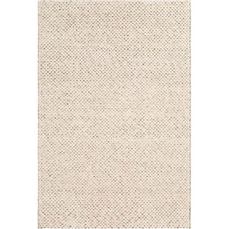 2' x 3' Rug