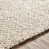 Surya Telluride 2' x 3' Rug