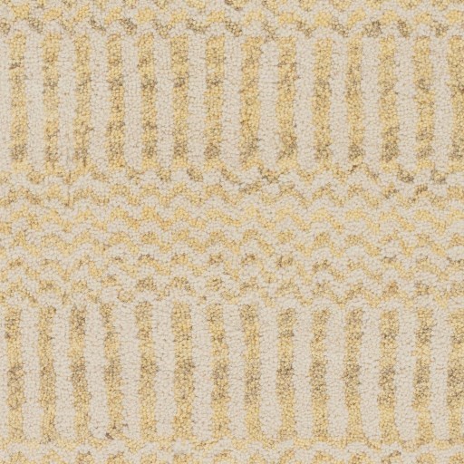 Surya Teton 2' x 3' Rug