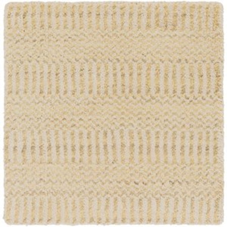 2' x 3' Rug