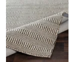 Surya Teton 2' x 3' Rug